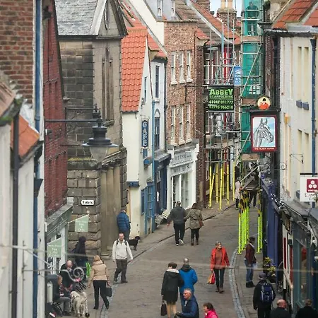 Cobbleview Whitby