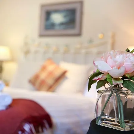 Guest house Cobbleview Whitby