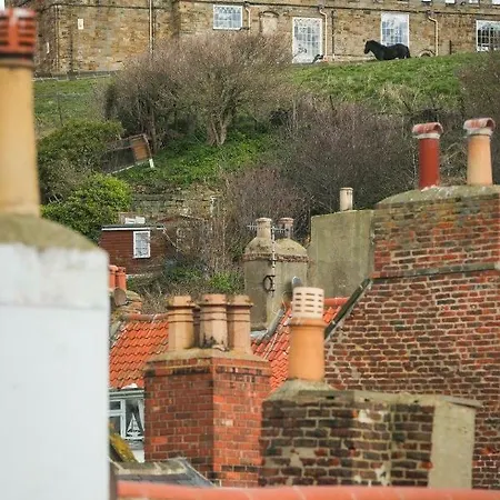 Cobbleview Whitby