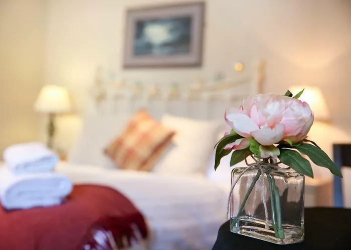 Guest house Cobbleview Whitby